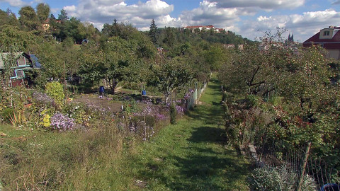 Nedej se! - Brno zahrádkami žije