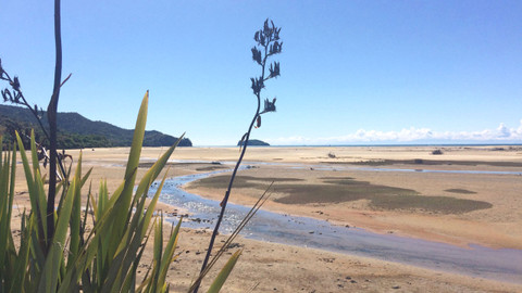 Kiwiland - 3/5 Farmáři