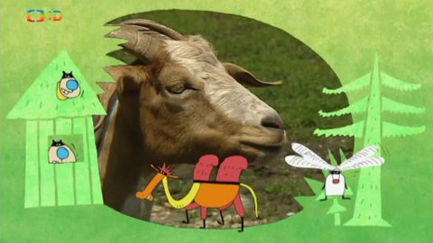 Náš zvěřinec - Expedice z Indie na Filipíny