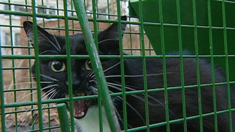 Chcete mě? - 24. února 2009