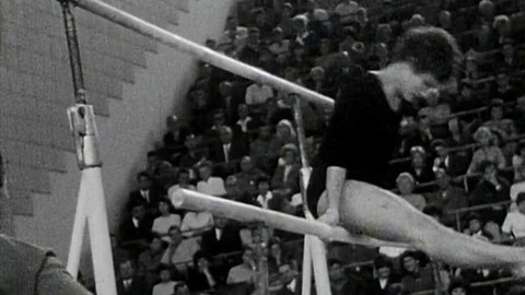 Archiv D - Vzpomínka na slávu