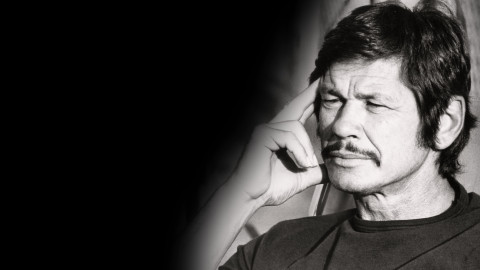 Hvězdy stříbrného plátna - Charles Bronson