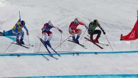 Světový pohár ve freestyle lyžování - SP Gruzie