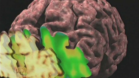 Věda a náhoda - 6/6 Záhadný mozek