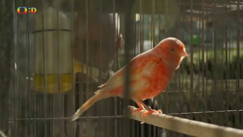 Zprávičky - 18. dubna 2018