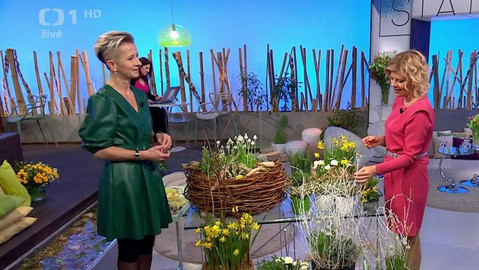 Sama doma - 11. března 2024