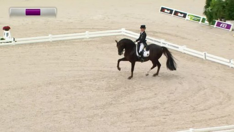 Světové jezdecké hry 2014 Francie - 2. den