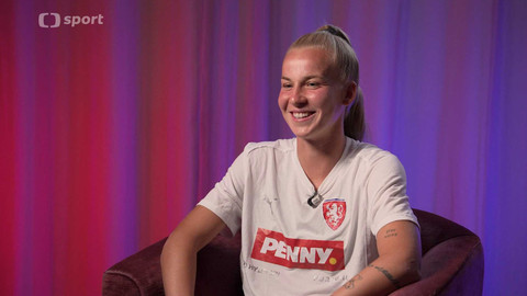 Lvice mimo hřiště - Aneta Pochmanová