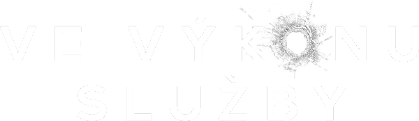 Ve výkonu služby