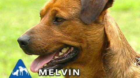 Chcete mě? - Chcete je?