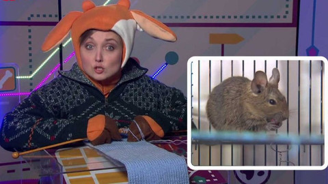 Telefon - 19. února 2016