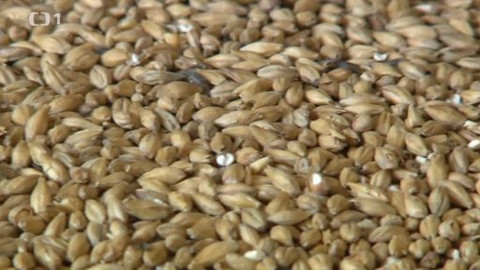 Černé ovce - 28. května 2013