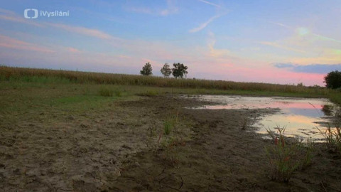 Kapka vody - Mokřady