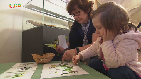 Tamtam - 20. dubna 2019