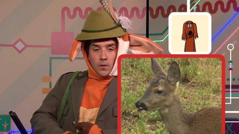 Telefon - 11. listopadu 2016