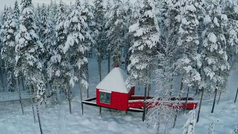 Dobrodružství vědy a techniky - Vzhůru do korun - život na vysoké noze