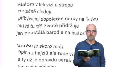 Jedna báseň - Ladislav Puršl