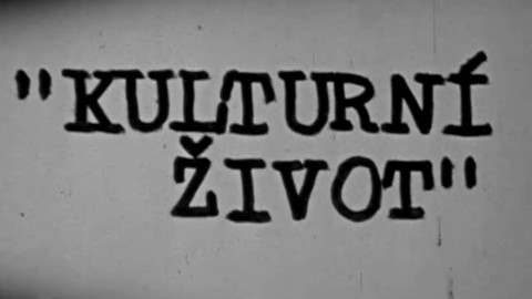 Kulturní život