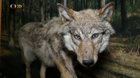 Tamtam - 15. října 2022