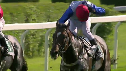 Jezdectví - Velká cena Prahy