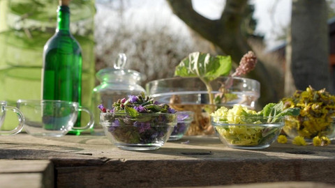 Zázračné bylinky - 7/13 Trnitá cesta k zotavení