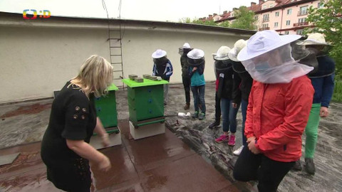 Zprávičky - 14. května 2021