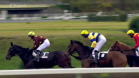 Dostihy - Cena prezidenta