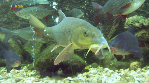 Terčin zvířecí svět - 14. října 2022