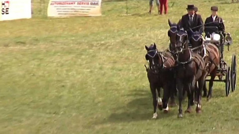 Jezdectví - Zlatá podkova 2015