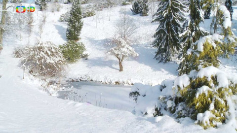 Novinky z přírody - Epizoda 42/53