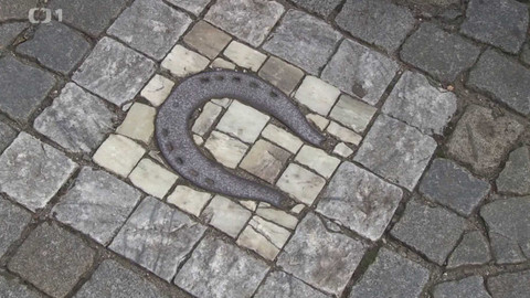 Toulavá kamera - 20. října 2024