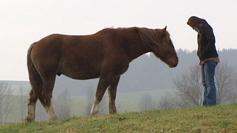 Chcete mě? - 4. prosince 2011