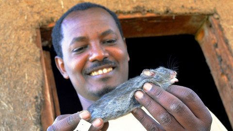 Příběhy zvědavých přírodovědců