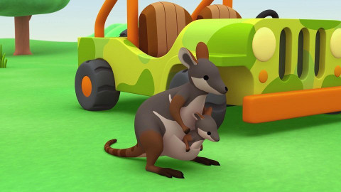 Leo, strážce přírody - Klokan žlutonohý