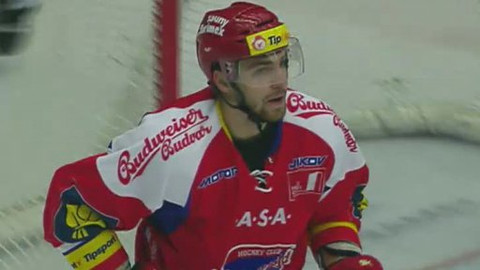 Buly hokej - HC MOUNTFIELD - Bílí Tygři Liberec