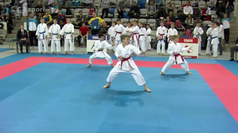 Bojové sporty - 31. ledna 2020