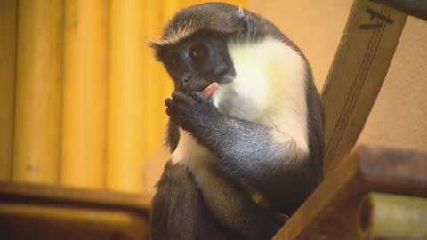 Chcete mě? - 27. října 2019