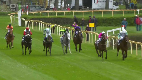 Dostihy - Rovinové a překážkové dostihy