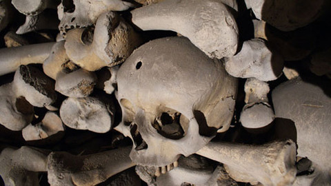 Záhady Toma Wizarda - Bytost zvaná fext