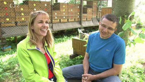 Kvarteto - 2. listopadu 2016