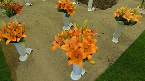 Hobby naší doby - Hoby naší doby