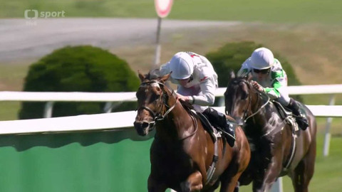 Dostihy - Rovinové a překážkové dostihy