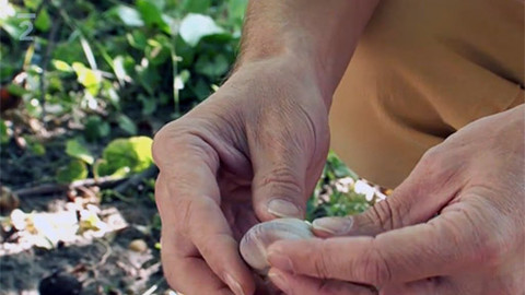 Evropa jedna báseň - 2/27 Ján Litvák