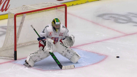 Hokej - Česko - Rakousko