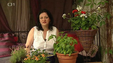 Černé ovce - 9. června 2015