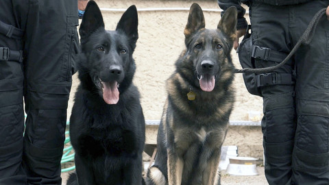 Jak to lítá na letišti - Poprvé ve službě