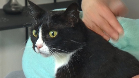 Chcete mě? - Chcete je?