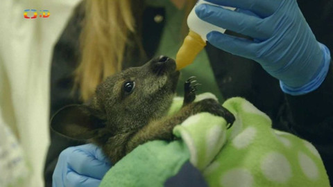 Zprávičky - 25. dubna 2018