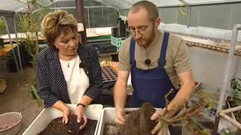 Dobrá rada nad zlato - 7. března 2009