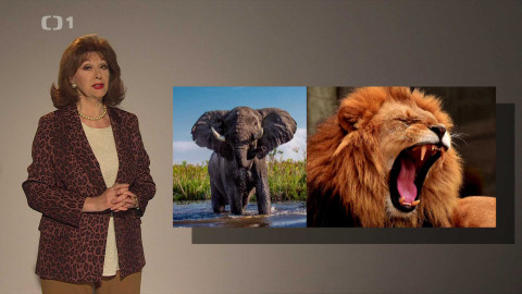 Kalendárium - 23. února